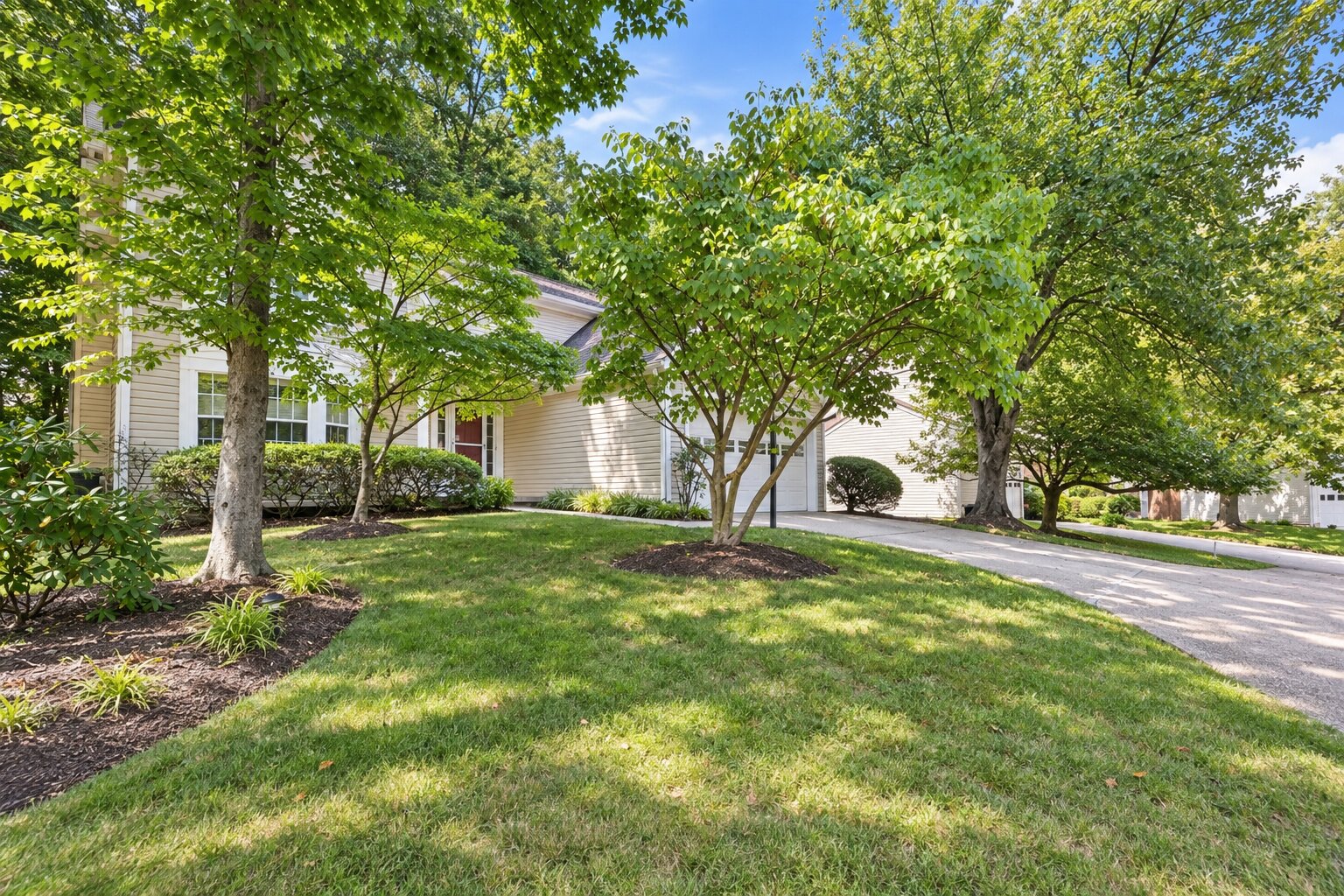 6228 Martin Road - Front yard and driveway