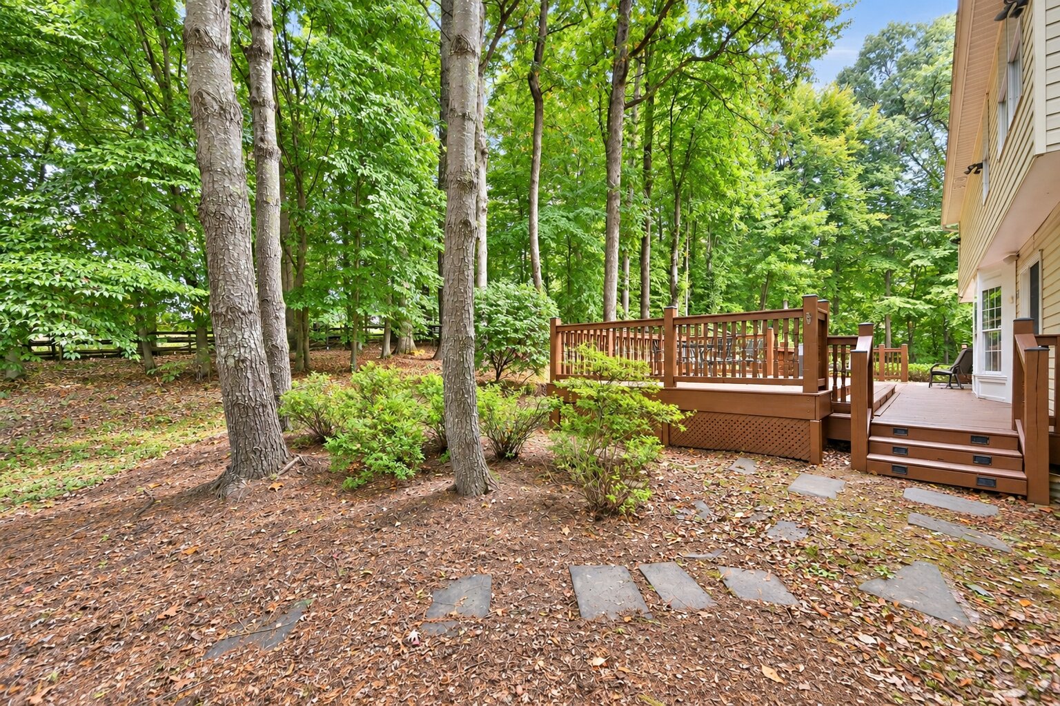 6228 Martin Road - Side yard and deck
