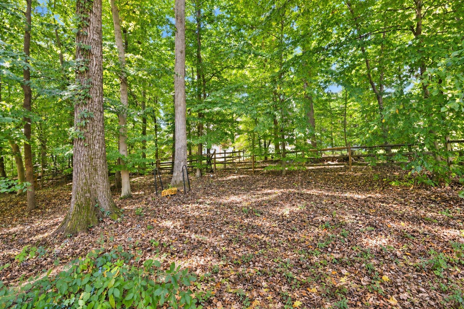 6228 Martin Road - Wooded rear yard